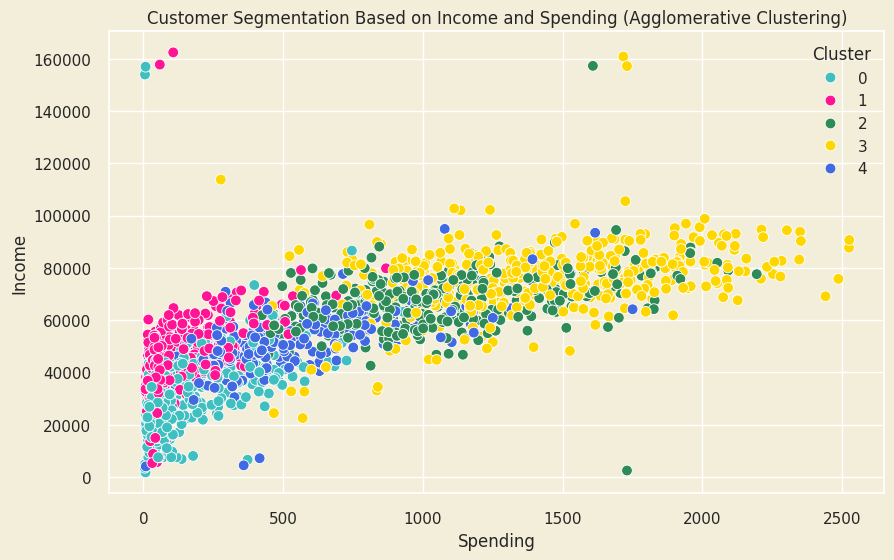 Five distinct customer clusters visualized through AGNES hierarchical clustering showing spending patterns and engagement metrics