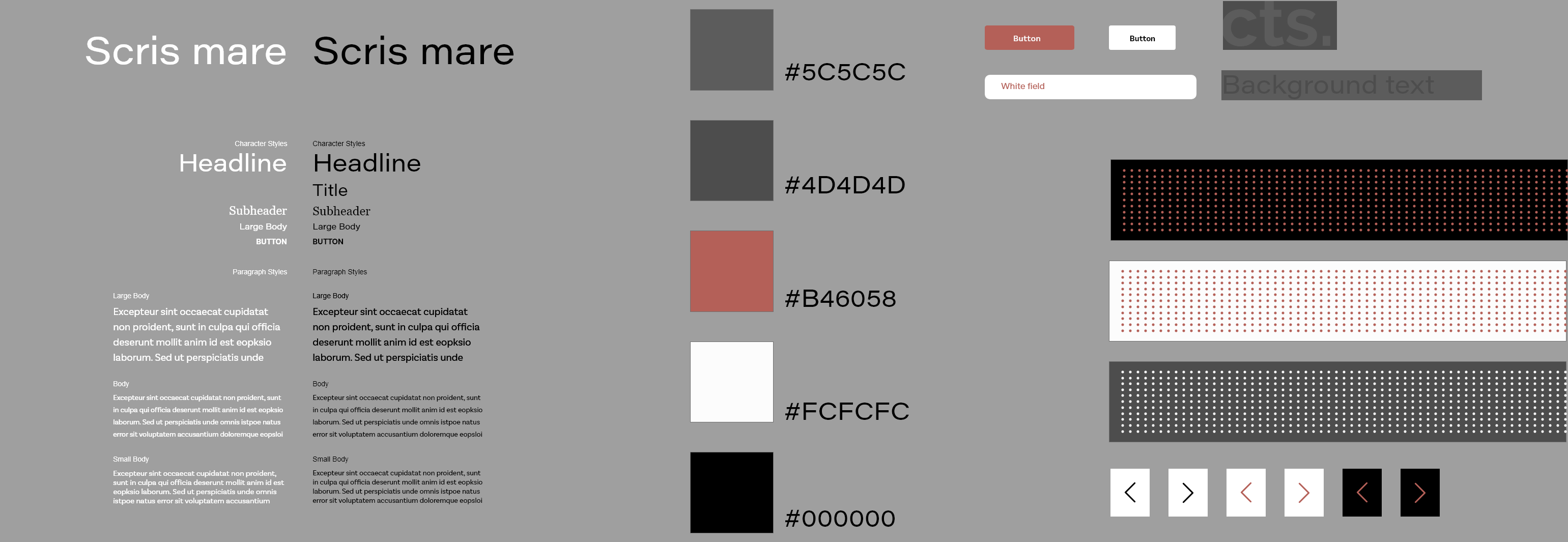 Complete brand design system showing typography hierarchy, color palette with warm rust accent (#B46058), sophisticated grays, UI components, buttons, and geometric pattern elements for luxury digital marketing agency